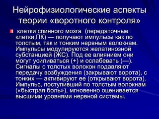От Паксила Возбуждение Нервной Системы